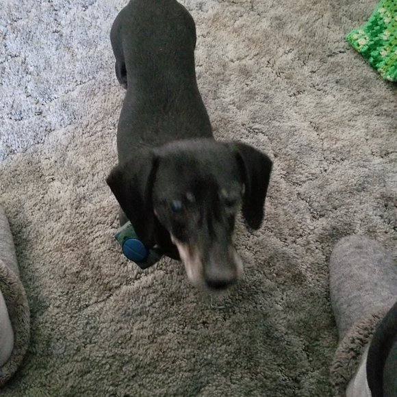 When u miss someone or something ♥️♥️ - Picture 6 of 9